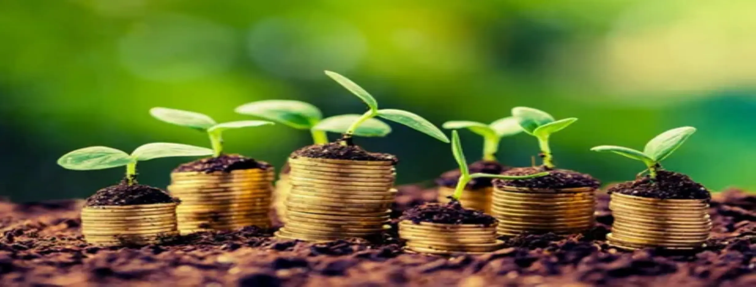 Image for Growing Economy